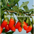 Bio Goji Beeren - neue Ernte